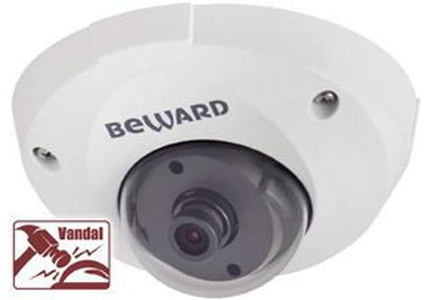 B1210DM Купольная IP камера