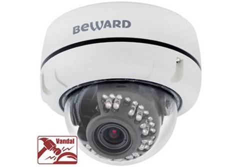 B1510DV Купольная IP камера